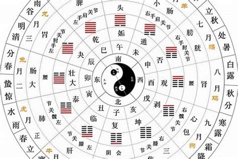 丁五行|天干地支五行对照表 – 天干地支概念